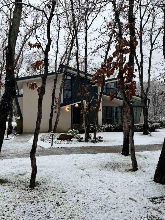 Utopia Forest Burgas City Exteriér fotografie